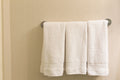 Microfiber Bath Towel Set (2-Pack)